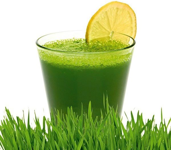 wheatgrass juice