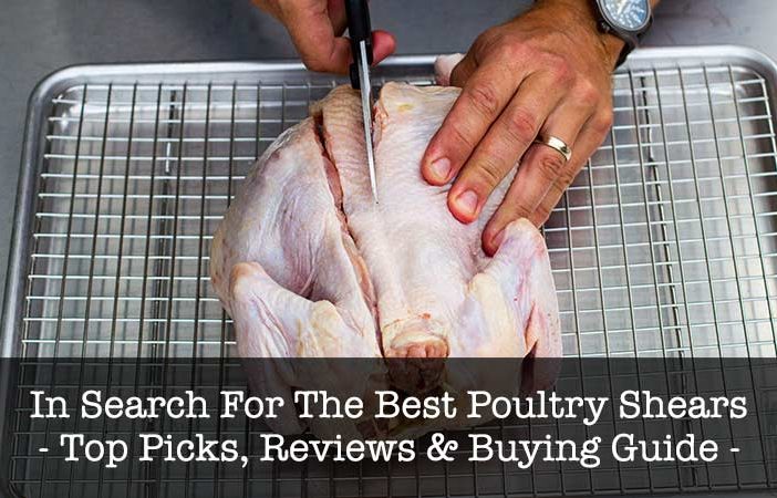 Best Poultry Shears