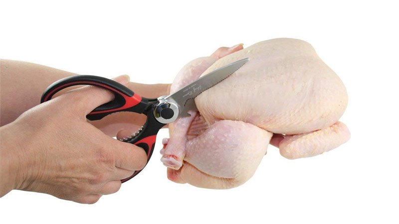 Recommended Best Poultry Shears