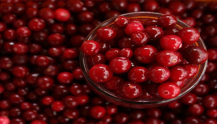 benefits of cranberry and cranberry juices