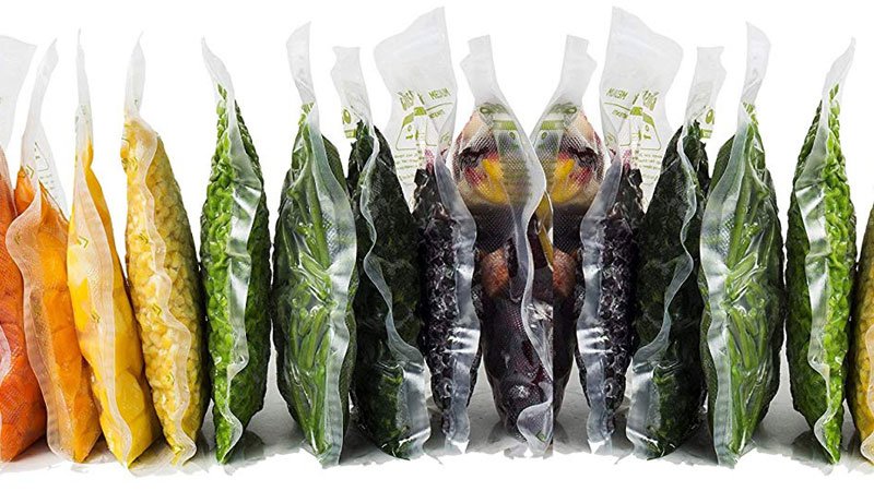 Recommended Vacuum Sealer for Sous Vides