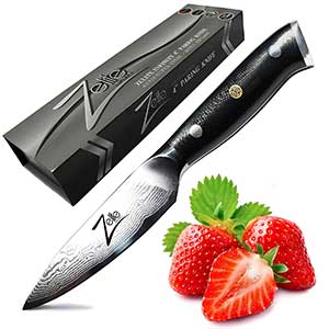Zelite Infinity 4-inch Paring knife