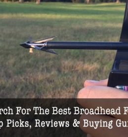 best broadhead for hogs