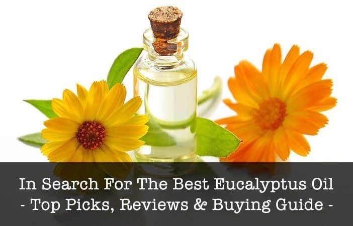 best eucalyptus oil