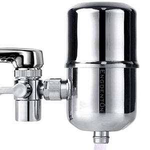 engdenton stainless steel water filter