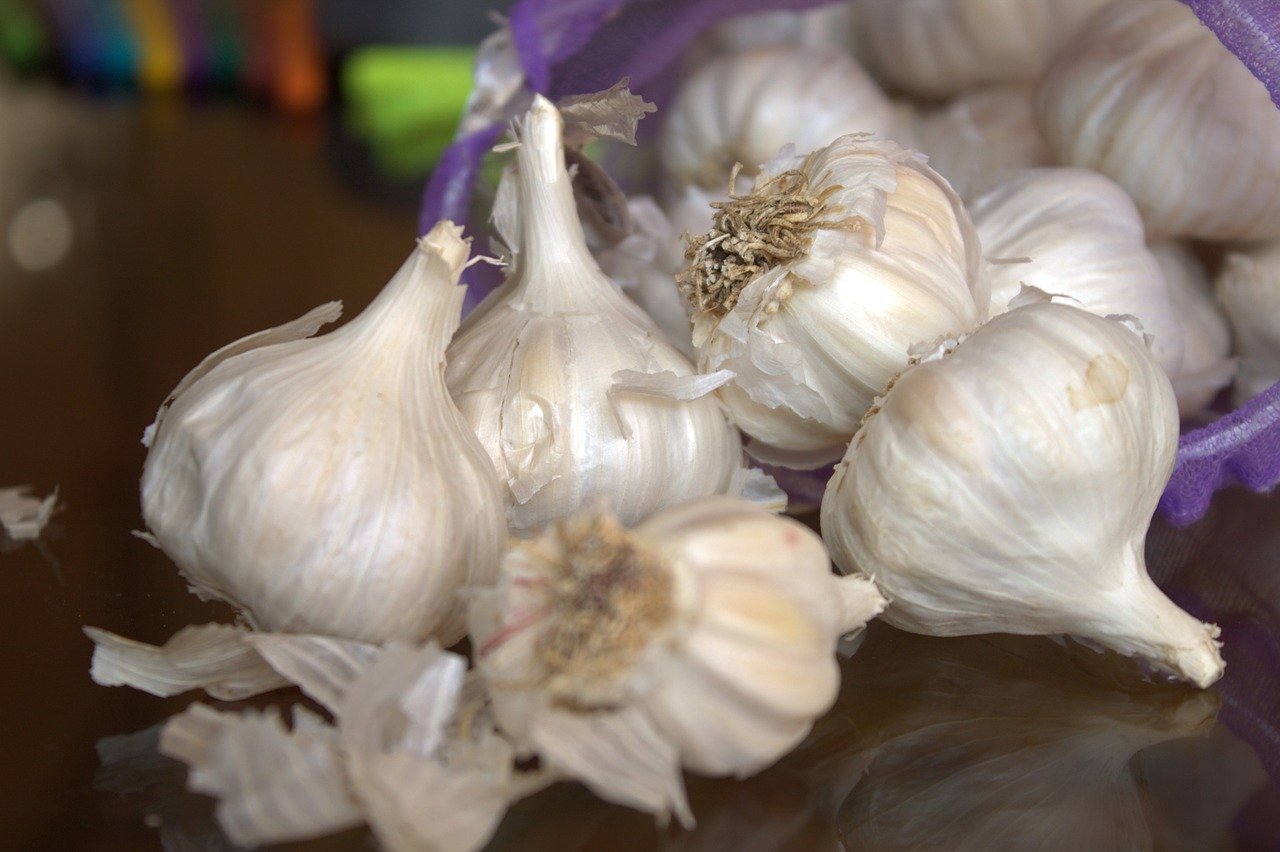 garlic mincer and crusher