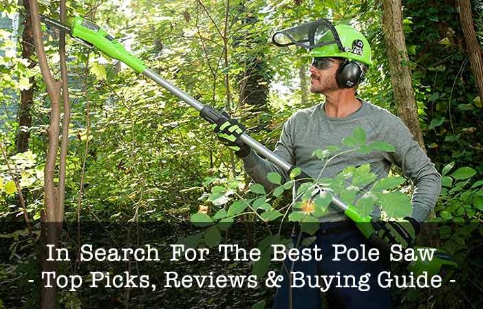 best pole saws