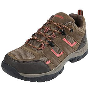 northside monroe low hiking shoe