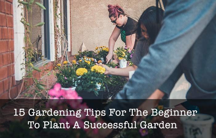 gardening tips