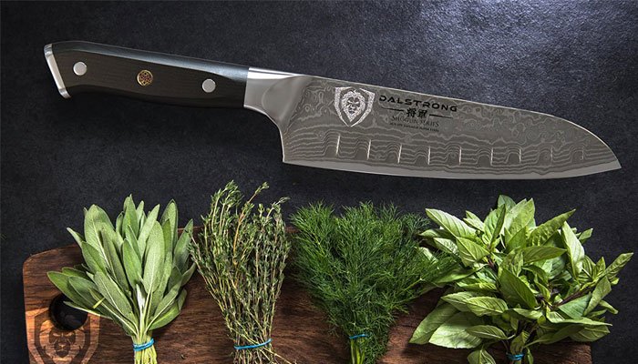 dalstrong santoku blade structure