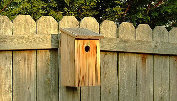 free birdhouse plan