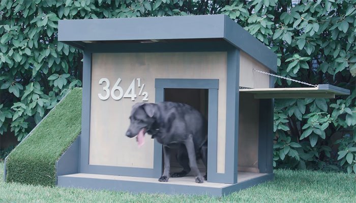 free doghouse plan