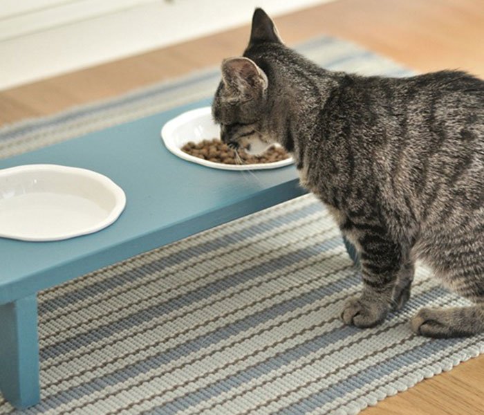 pet bowl stand
