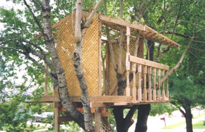 the lundgren tree house