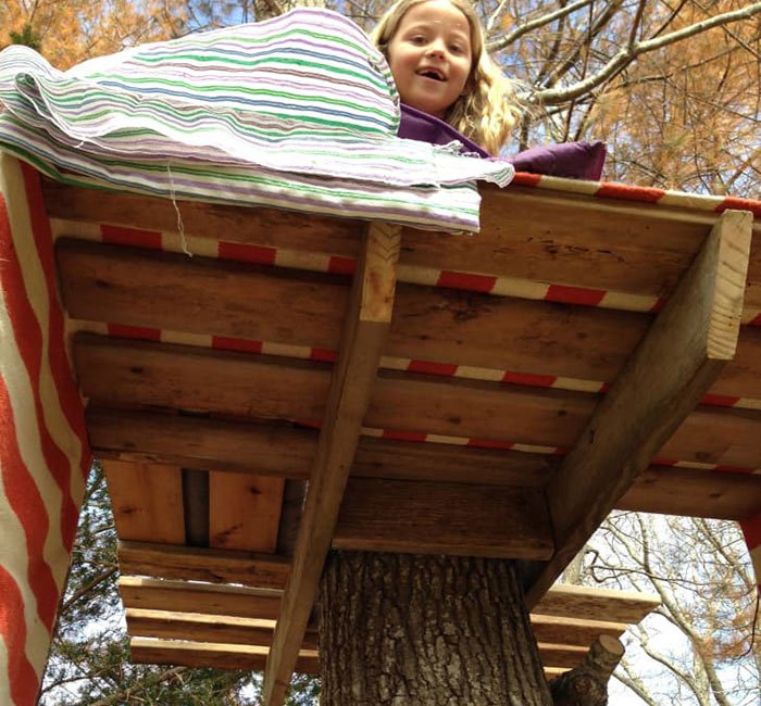 the simple tree house