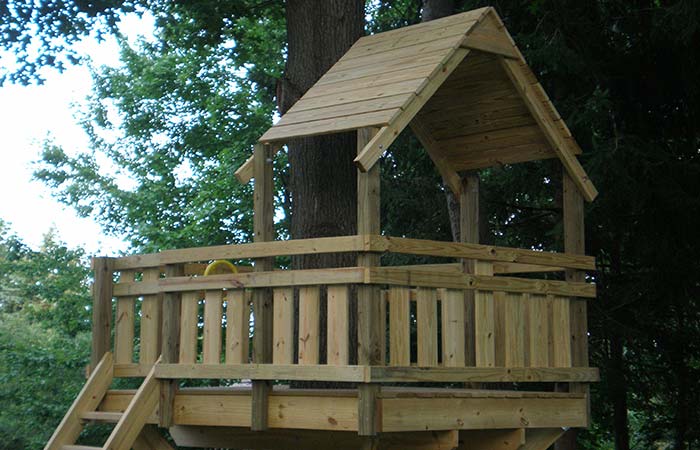the tree fort