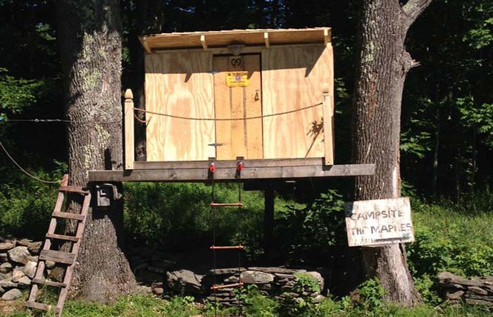 the ultimate tree house
