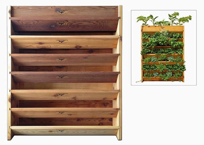 herb garden