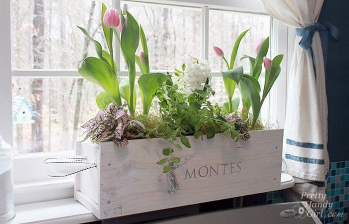 wine crate window box