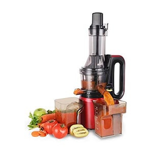 Omega Dual-stage Masticating Juicer