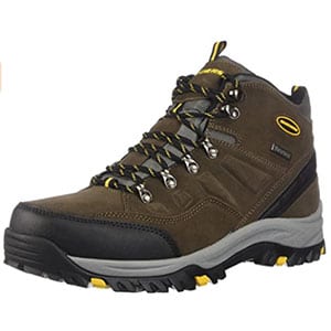 Pelmo Skechers