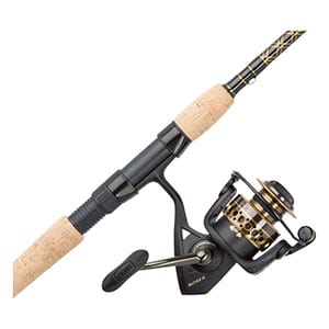 Spinning Reel and Fishing Rod
