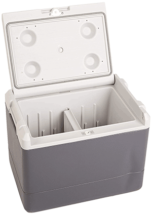 Coleman PowerChill Thermoelectric Cooler
