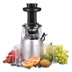 O-Breko Slow Masticating Juicer