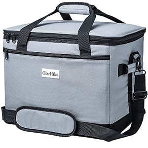 Olarhike-thermoelectric-cooler-bag