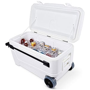 Igloo Glide Pro Roller