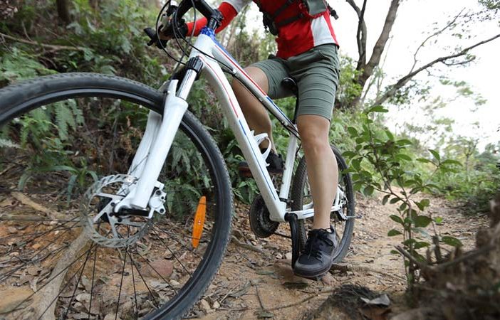 fixed gear bike vs single speed