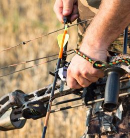 which bow is right for you