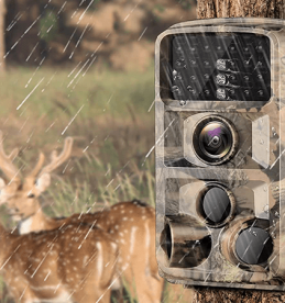 Do Animals Avoid Trail Cameras