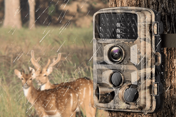 Do Animals Avoid Trail Cameras