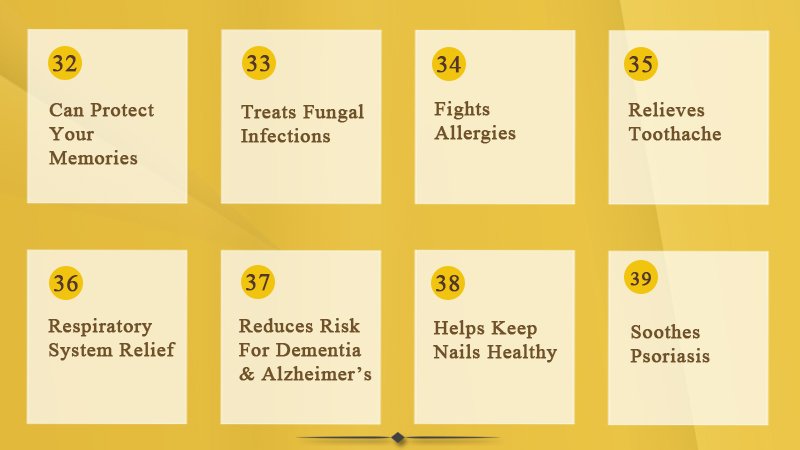 32-39-health benefits of garlic