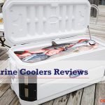 best marine coolers
