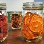 nesco food dehydrator